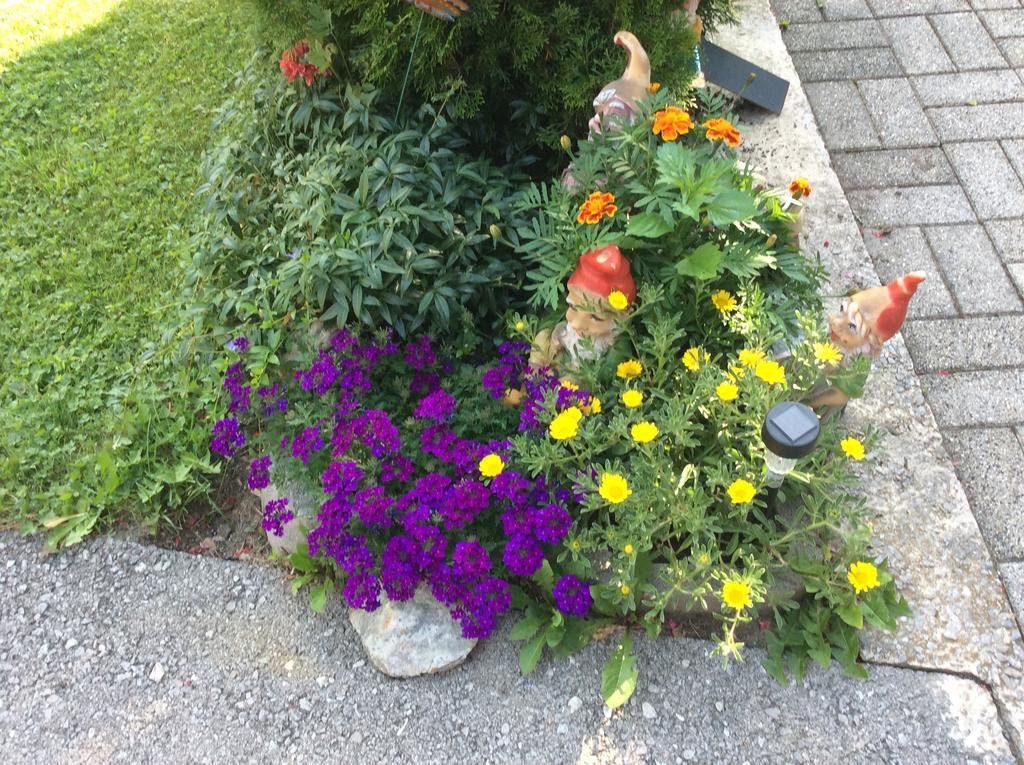 Haus Eder Burgi Hotel Nikolsdorf Esterno foto